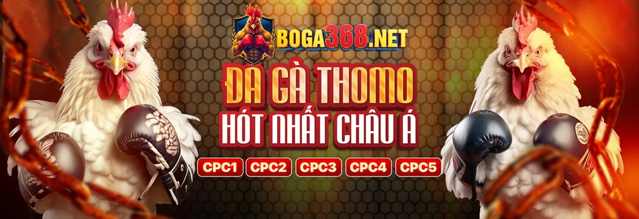 Đá gà trực tuyến NWE88